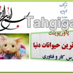 پاورپوینت درباره بامزه ترین حیوانات دنیا
