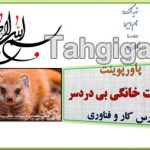 پاورپوینت حیوانات خانگی کار و فناوری